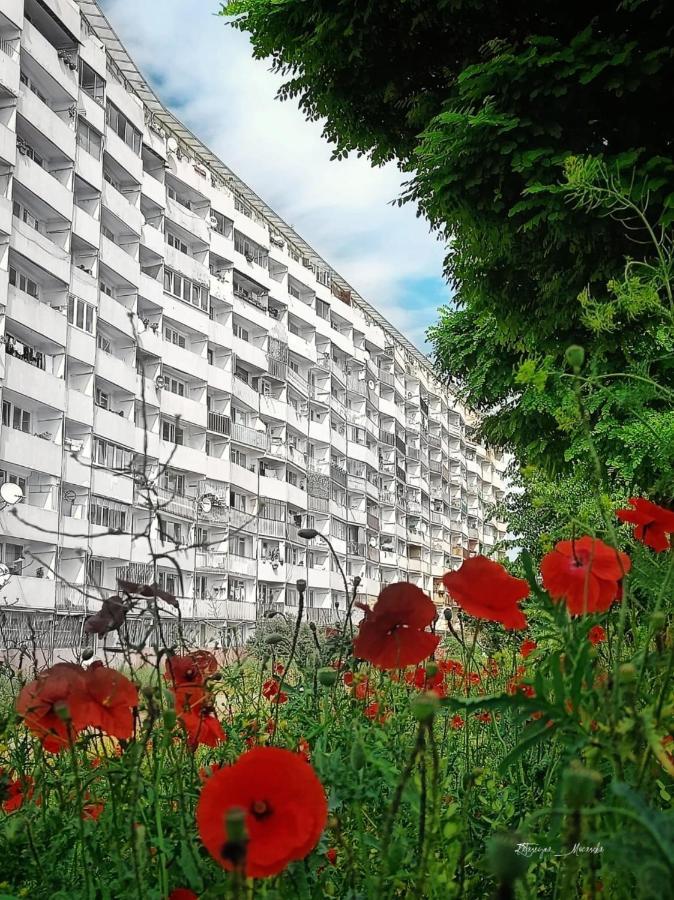 Apartment Apartament Wiewiorka Danzig